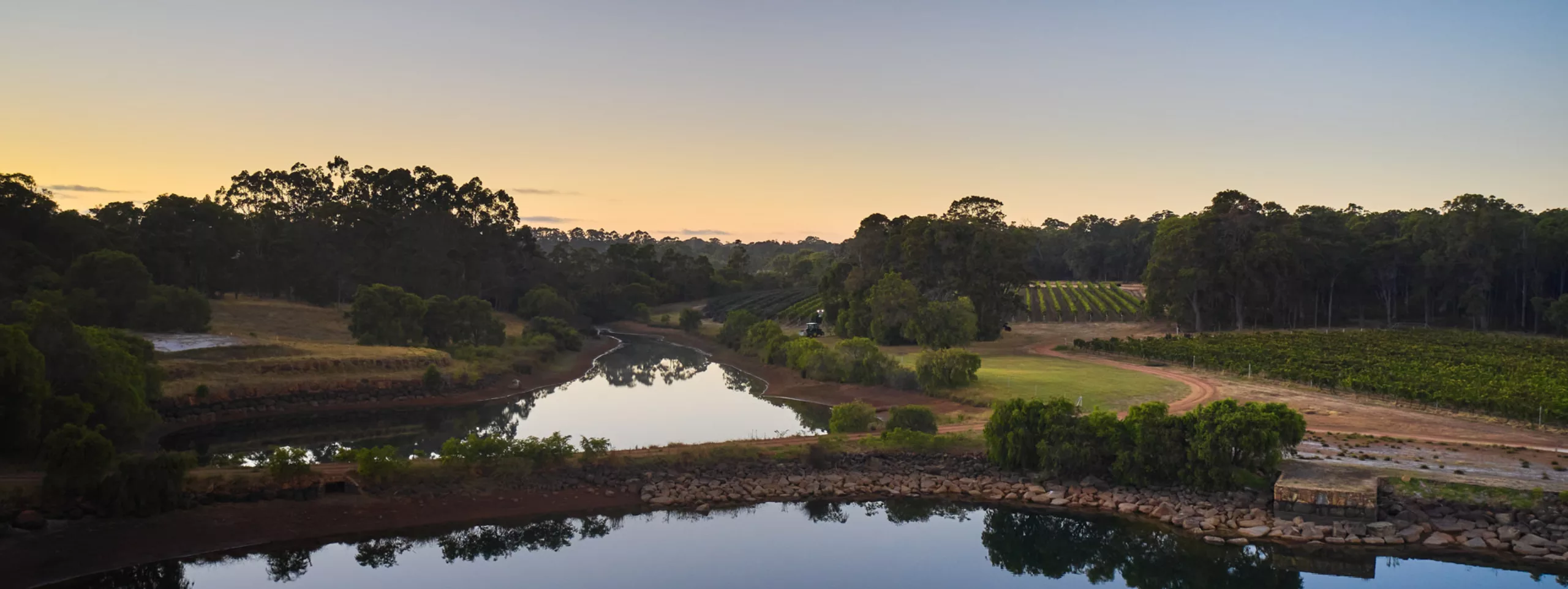 Overstory 2023 Elliot Ramsay xlightco 0651