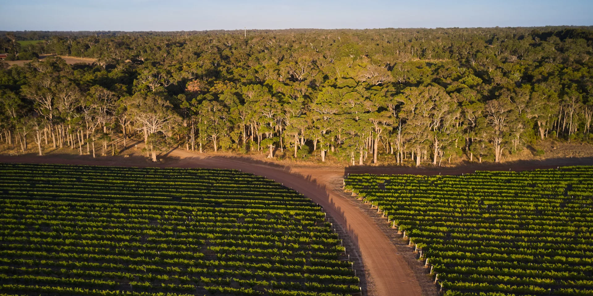 Overstory 2023 Elliot Ramsay xlightco 0617